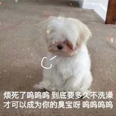 烦死了 呜呜呜到底多久不洗澡才可以成为你的臭宝呀呜呜