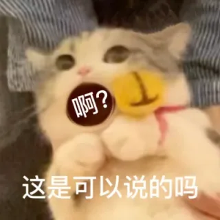 啊?这是可以说的吗(猫猫表情包)