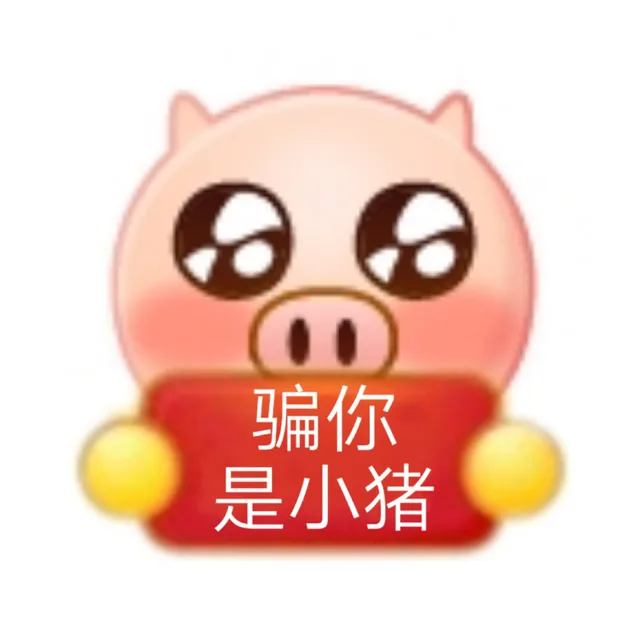 骗你是小猪
