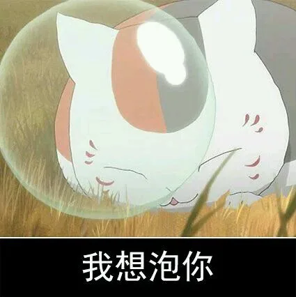 我想泡你（我想泡你）