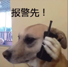 报警先！（报警先！）