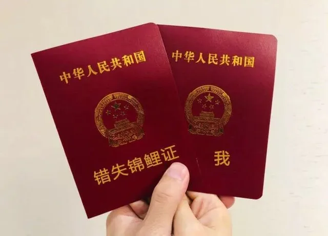 错失锦鲤证和我（错失锦鲤证和我）