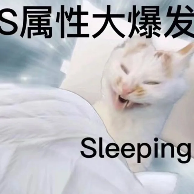 S属性大爆发Sleeping（S属性大爆发Sleeping）