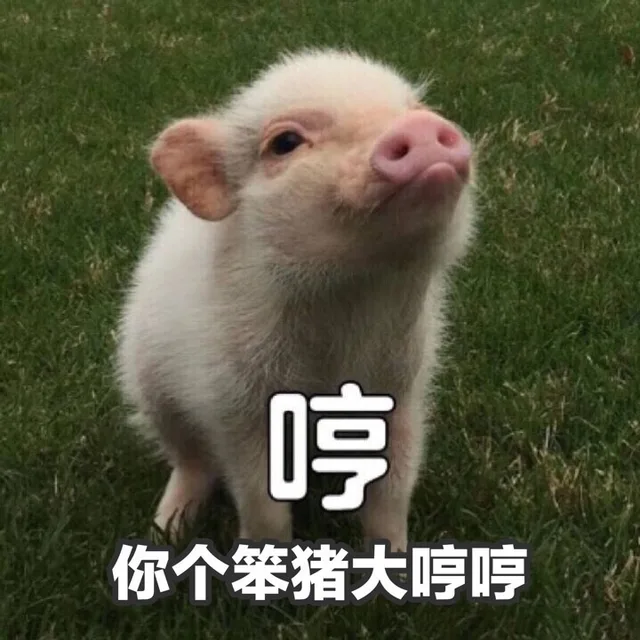 哼！你个笨猪大哼哼