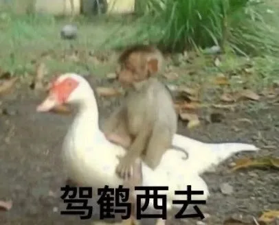 驾鹤西去（驾鹤西去）