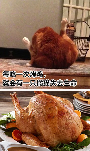 每吃一次烤鸡就会有一只橘猫失去生命（每吃一次烤鸡就会有一只橘猫失去生命）