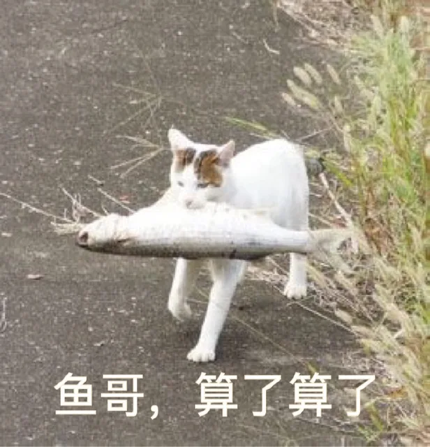 鱼哥，算了算了（鱼哥，算了算了）