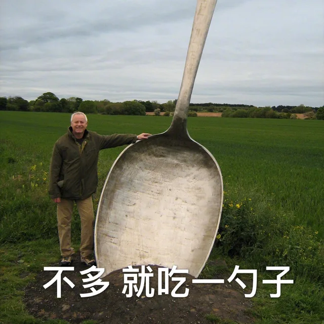 不多，就吃一勺子（超大勺子）