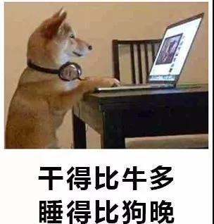 干得比牛多睡得比狗晚（干得比牛多睡得比狗晚）