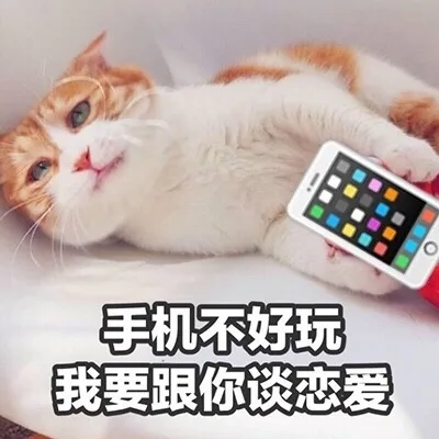 手机不好玩，我要跟你谈恋爱（手机不好玩，我要跟你谈恋爱）