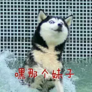 嘿那个妹子