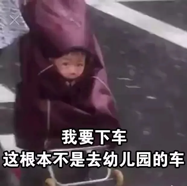这根本不是去幼儿园的车！ 我要下车（这根本不是去幼儿园的车！ 我要下车）