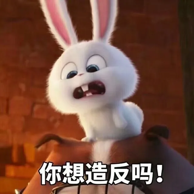 你想造反吗