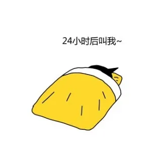 24小时后叫我