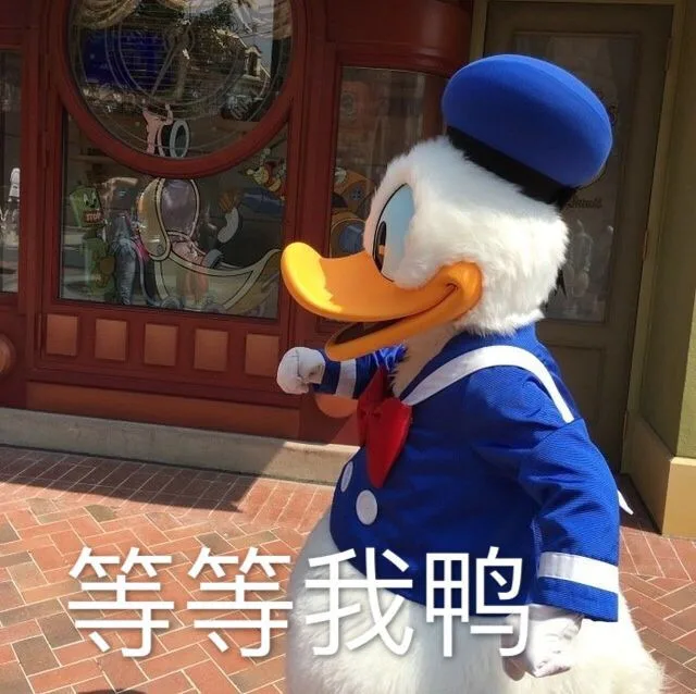 竺竺我鸭