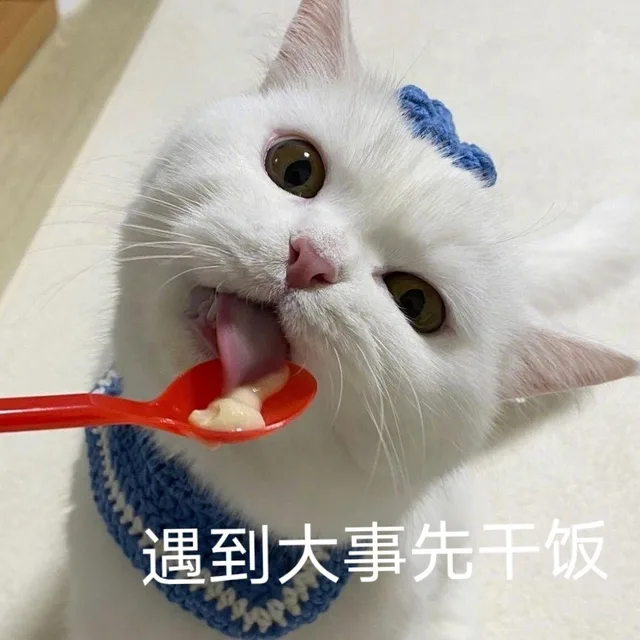 遇到大事先干饭（遇到大事先干饭）
