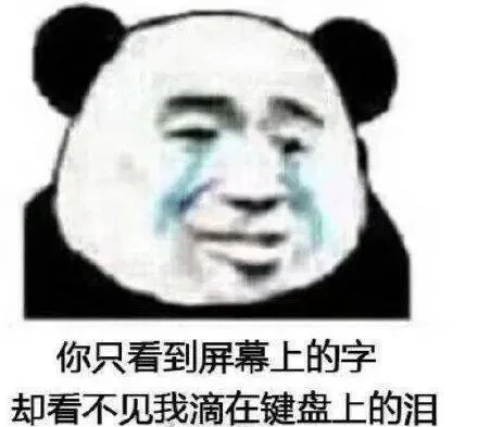 你只看到屏幕上的字却看不见我滴在键盘上的泪（你只看到屏幕上的字却看不见我滴在键盘上的泪）