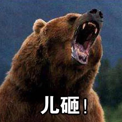 儿砸!