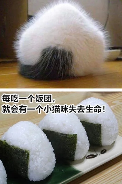 每吃一个饭团就会有一个小猫咪失去生命!