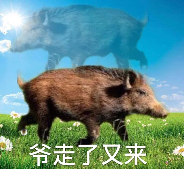 爷走了又来（爷走了又来）