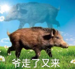 爷走了又来