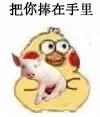 把你捧在手里（把你捧在手里）