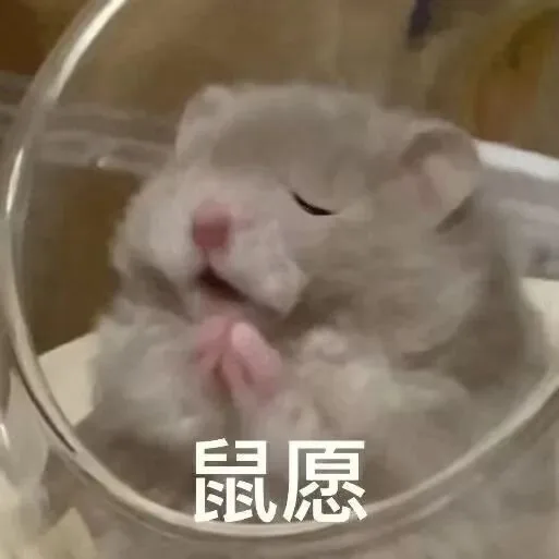 鼠愿（鼠愿）