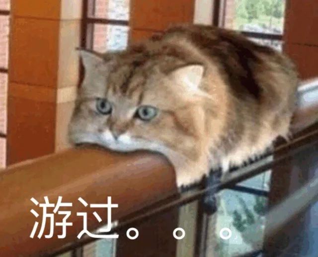 游过。。（游过。。）