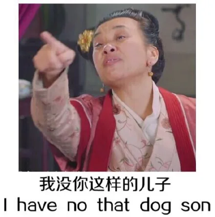 我没你这样的儿子（I have no that dog son）