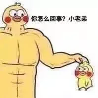 你怎么回事？小老弟（超大小黄鸡拎气小黄鸡）（你怎么回事？小老弟（超大小黄鸡拎气小黄鸡））