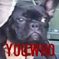 YOU WHO（YOU WHO）