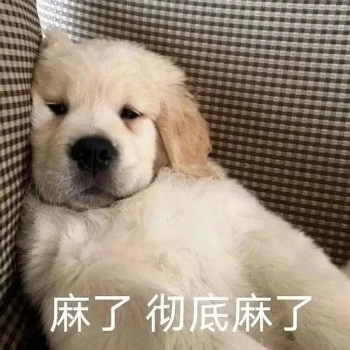 麻了彻底麻了（麻了彻底麻了）