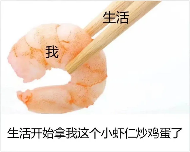 生活开始拿我这个小虾仁炒鸡蛋了（生活开始拿我这个小虾仁炒鸡蛋了）