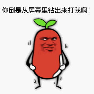 你倒是从屏幕里钻出来打我啊！（你倒是从屏幕里钻出来打我啊！）