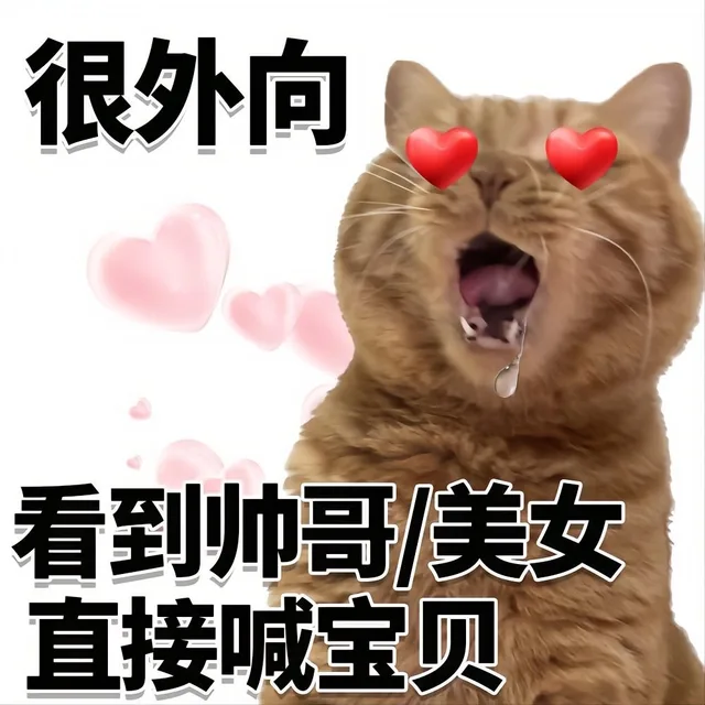 很内向很外向猫猫