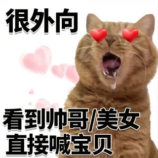 很内向很外向猫猫