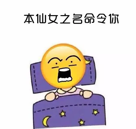 本仙女之名命令你（本仙女之名命令你）