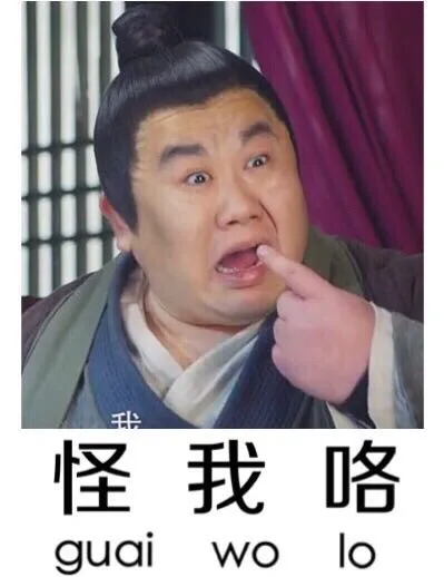 怪我咯（guai wo lo）（怪我咯（guai wo lo））