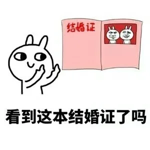 结婚证当看到这本结婚证了吗