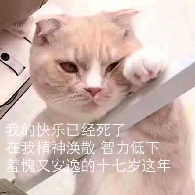 我的快乐已死了，在我精神涣散 智力底下 羞愧又安逸的十七岁这年（猫咪）（我的快乐已死了，在我精神涣散 智力底下 羞愧又安逸的十七岁这年（猫咪））
