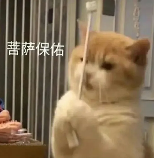 蔷萨保佑（蔷萨保佑）