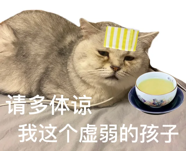 请多体谅我这个虚弱的孩子