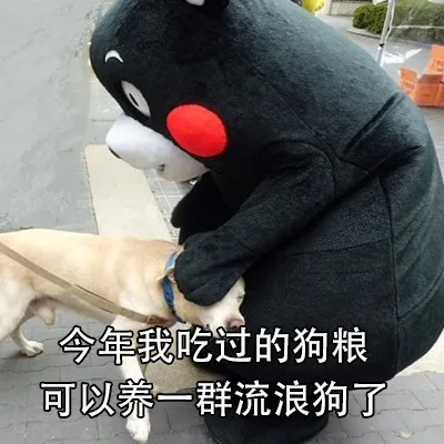 今年我吃过的狗粮可以养一群流浪狗了（今年我吃过的狗粮可以养一群流浪狗了）
