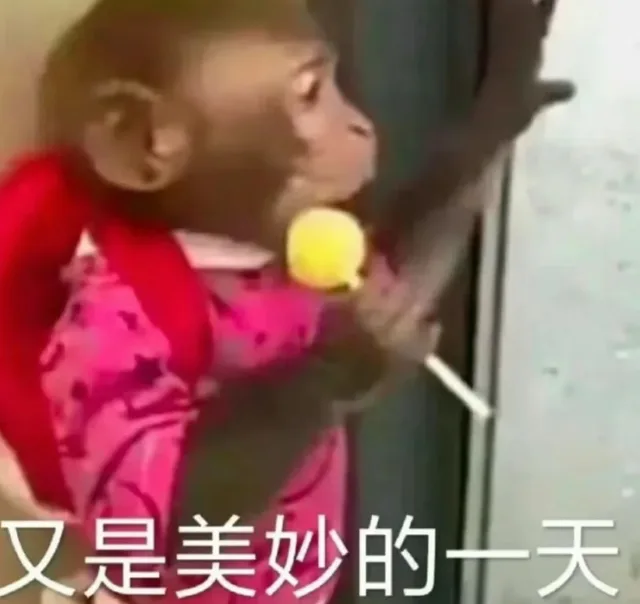 又是美妙的一天(吗喽表情包)（又是美妙的一天(吗喽表情包)）