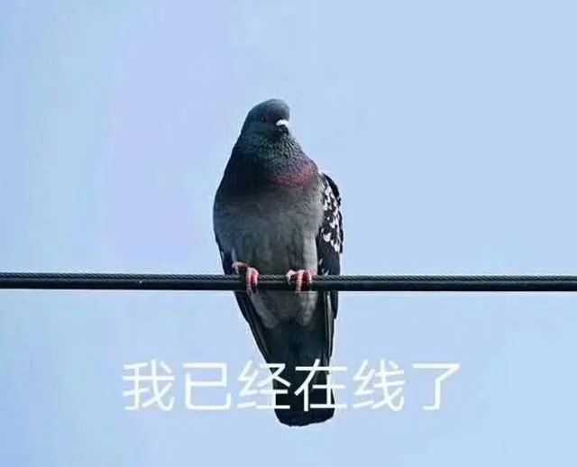 我已绎在线了（我已绎在线了）