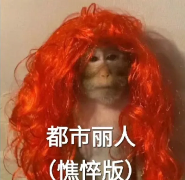 都市丽人憔悴版(吗喽表情包)（都市丽人憔悴版(吗喽表情包)）
