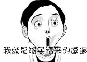 我就是猴子请来的逗逼（我就是猴子请来的逗逼）
