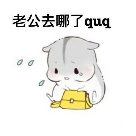 老公去哪了quq（老公去哪了quq）