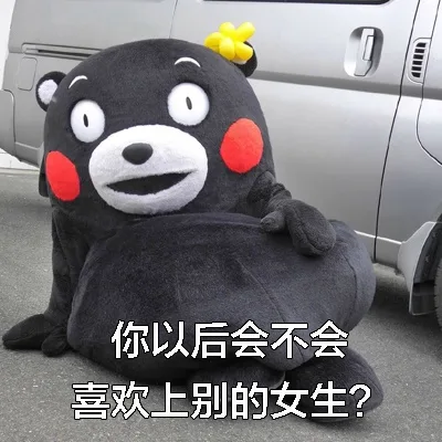 你以后会不会喜欢上别的女生？