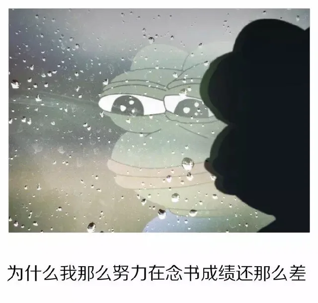 为什么我那么努力在念书成绩还那么差